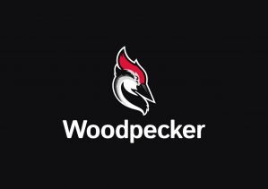 Woodpecker